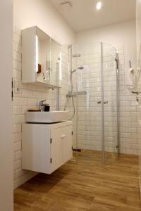 菲尔斯滕贝格Gut Boltenhof的白色的浴室设有水槽和淋浴。