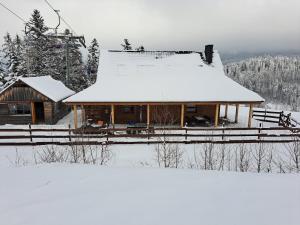 科尔别卢夫Domek Na Stoku的小木屋,屋顶上积雪