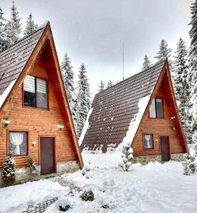 多斯帕特Belvedere Villas的雪中树下的小木屋