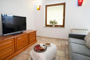 阿伊多夫什契纳Apartment Ajdi的客厅配有平面电视和沙发。