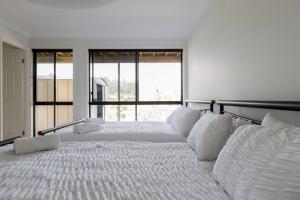 黄金海岸Gold Coast Theme Parks With a Pool的配有窗户的客房内设有两张大型白色床。