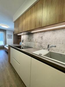 圣克里斯蒂娜Apartments Vaiolet的厨房配有白色橱柜和水槽