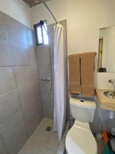 普孔Willhouse Hostel的带淋浴、卫生间和盥洗盆的浴室