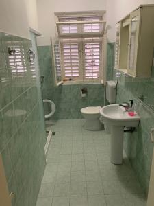 蒂瓦特阿尼塔旅馆的一间带水槽、卫生间和淋浴的浴室