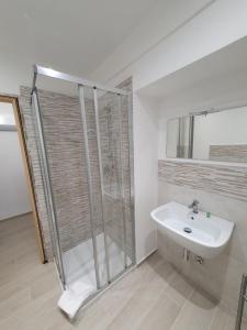 卡萨莱蒙费拉托Appartamento Il Castello的带淋浴和盥洗盆的白色浴室