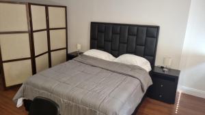 加拉加斯CCCT ApartaHotel Ccct的一间卧室配有一张大床和两个枕头