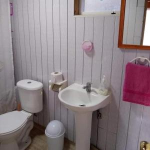 克利翁CABAÑAS QUELLON的浴室配有白色卫生间和盥洗盆。