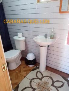 克利翁CABAÑAS QUELLON的一间带水槽和卫生间的浴室