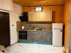 瑟尔尼察Апартаменти Dream的厨房配有白色冰箱和水槽