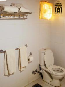 阿斯旺Kato Waidi Nubian Resort的一间带卫生间和一些毛巾的浴室