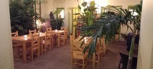 格雷岛La Maison du Marin的餐厅设有木桌和椅子,种有植物