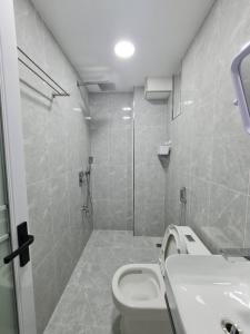 马累Resting View的浴室配有卫生间、盥洗盆和淋浴。