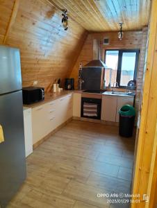 瓦特拉多尔内Cabana Alpin的小木屋内的厨房,配有冰箱