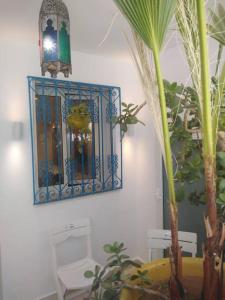 西迪·布·赛义德Cosy Appartement in "Sidi Bou Said"的墙上有镜子的房间,有植物