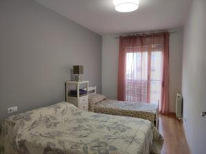 洛格罗尼奥Apartamento Los Lirios Logroño的一间卧室设有一张床和一个窗户,