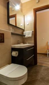 杜布罗夫尼克拉谷萨别墅酒店的一间带卫生间、水槽和镜子的浴室