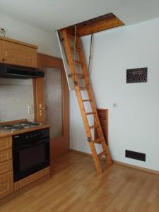 GlashütteFerienhaus Herm的厨房里有一个梯子从墙上伸出来