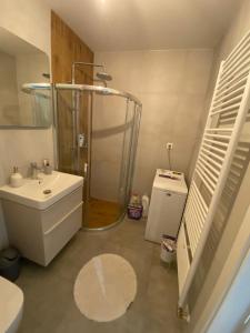 日利纳Apartman M&M的带淋浴、盥洗盆和卫生间的浴室