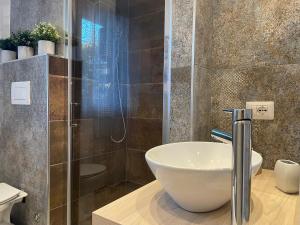 瓦雷泽Suite del Ponte的一间带一个碗水槽和淋浴的浴室