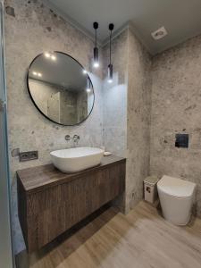 切尔诺夫策Czernowitz Deluxe Apartments的一间带水槽和镜子的浴室