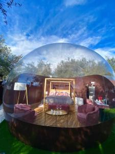 卡塔尼亚Bubble Glamping Sicily的圆顶上的卧室,配有一张床和椅子