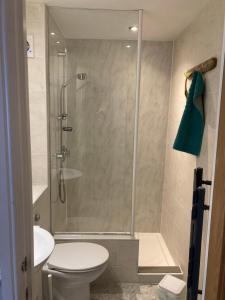 克里基厄斯Marine Terrace Apartments的带淋浴、卫生间和盥洗盆的浴室