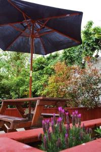 巴利卡斯尔Harbour View House的一张带雨伞和紫色花的野餐桌