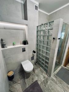 吉日茨科Apartament Morsa w Nautica Resort的一间带卫生间和淋浴的浴室
