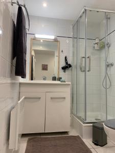 土伦Duplex Raphael- Wi-fi et parking privé的带淋浴、盥洗盆和卫生间的浴室