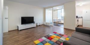 奥格斯堡Apartment am Eiskanal的客厅配有电视和色彩缤纷的地毯