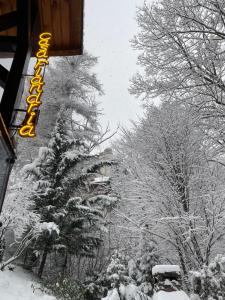 锡纳亚Casa Flandria的一条有酒店标志和树的雪覆盖的街道