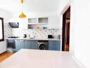 达特恰Ertem Apart的厨房配有蓝色橱柜和洗衣机。