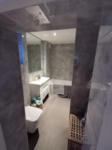 伦敦Entire apartment L B Haringey, Alexandra palace的浴室配有盥洗盆、卫生间和浴缸。