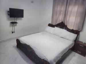 库马西BENJI'S VILLA的一间卧室配有一张床和一台电视。