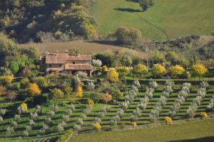 乌尔巴尼亚Agriturismo La Valle Dimenticata的享有花园的空中景致,设有房屋