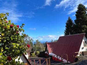 桑塔纳Abrigo da Serra- Nature Trails的一座红色屋顶的房子和一棵树