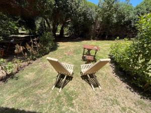 拉塞雷纳El Arbol Eco Lodge的院子里有两把椅子和一张桌子