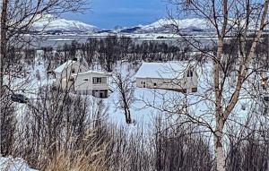 斯托克马克内斯Beautiful Home In Stokmarknes With House A Panoramic View的雪中湖中的房子
