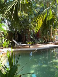 凯恩斯Dreamtime Travellers Rest的一个带椅子的游泳池,并种植了棕榈树