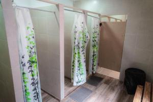 门多萨Clover Hostel的浴室内设有带鲜花窗帘的淋浴