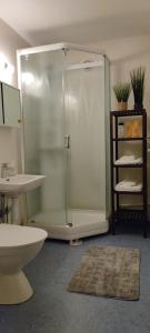 皮耶塔尔萨里Villa Astrid的带淋浴和盥洗盆的浴室