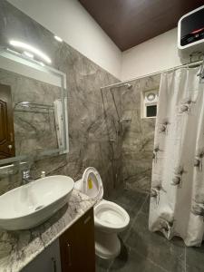 乌提Orchard Valley View Home Stay的一间带水槽、卫生间和淋浴的浴室