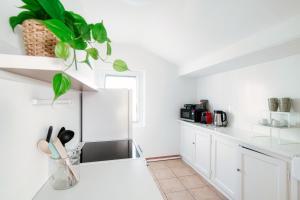 蓬泰特雷萨Mansarda Verde by Quokka 360 - cosy attic apartment with lake view的厨房配有白色橱柜和台面上的植物
