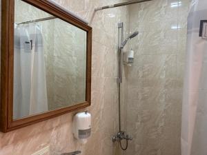 戈里斯Saryan Guesthouse的设有带镜子和水槽的淋浴的浴室