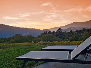 特伦托Agritur Ponte Alto的山景野餐桌