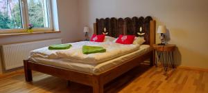 Sól2chałupy - apartamenty w Soli的一间卧室配有一张带红色和绿色枕头的大床