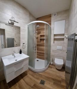 弗济内Apartman Orhideja的带淋浴、盥洗盆和卫生间的浴室