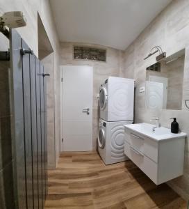 弗济内Apartman Orhideja的浴室配有洗衣机、烘干机和水槽