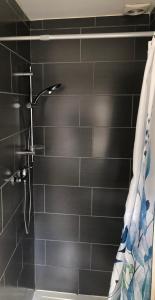 JodoigneAppartement lumineux et calme的浴室设有黑色瓷砖墙和淋浴。