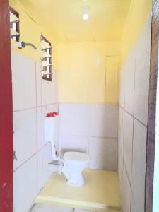 玛娜岛Mana Lagoon Backpackers的一间位于客房内的白色卫生间的浴室